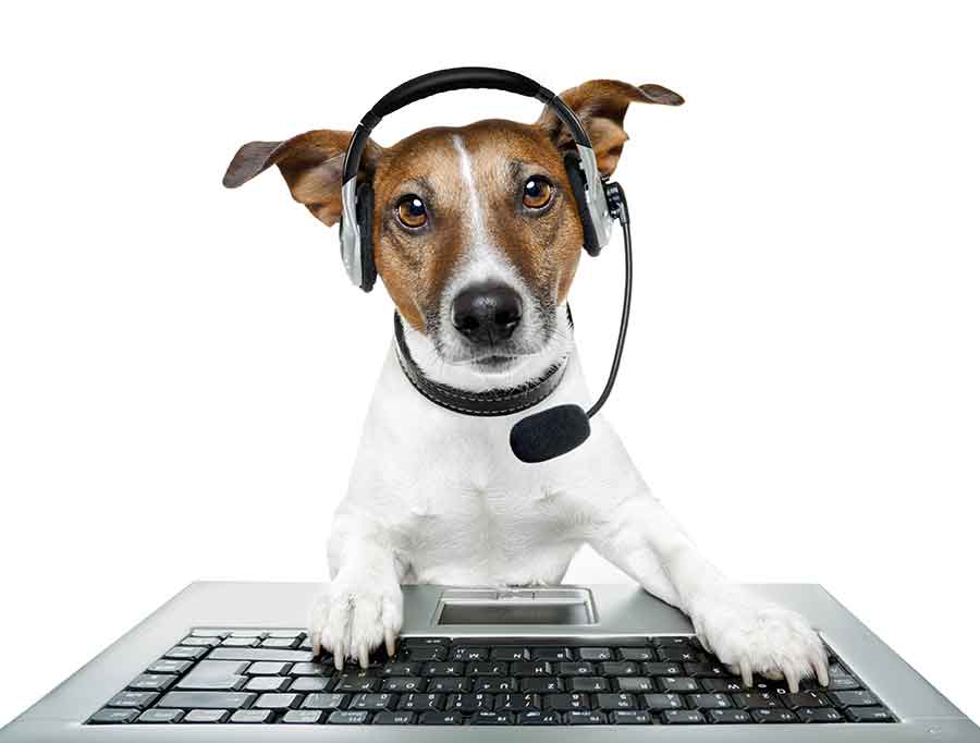 Computer IT Support Services