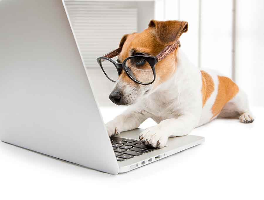 Remote IT Computer Support